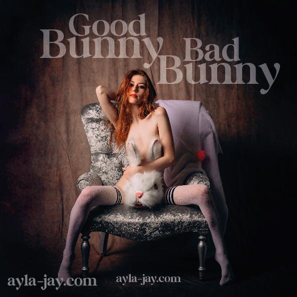 Good Bunny, Bad Bunny Book